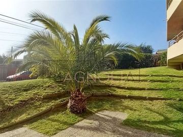 Departamento en Venta en cercano a Playa Amarilla