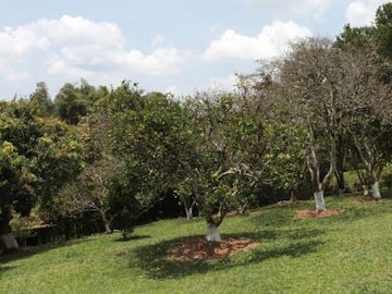 VENTA de CASA CAMPESTRE en PEREIRA