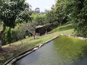 VENTA de CASA CAMPESTRE en PEREIRA