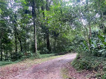 VENTA CASA CAMPESTRE CONJUNTO CERRADO. HERMOSO LOTE. VIA CIRCASIA