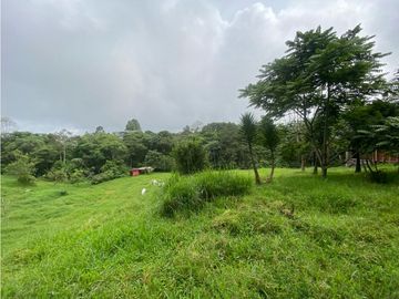 VENTA CASA CAMPESTRE CONJUNTO CERRADO. HERMOSO LOTE. VIA CIRCASIA