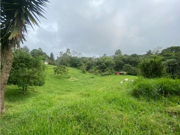 VENTA CASA CAMPESTRE CONJUNTO CERRADO. HERMOSO LOTE. VIA CIRCASIA