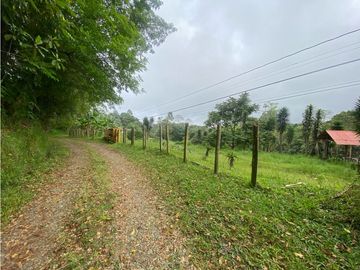 VENTA CASA CAMPESTRE CONJUNTO CERRADO. HERMOSO LOTE. VIA CIRCASIA