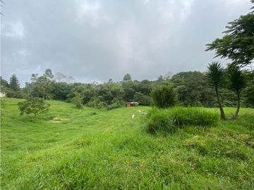 VENTA CASA CAMPESTRE CONJUNTO CERRADO. HERMOSO LOTE. VIA CIRCASIA