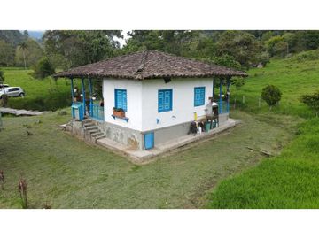 VENTA DE CASA CAMPESTRE EN SALENTO, QUINDO, COLOMBIA