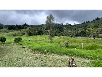 VENTA DE CASA CAMPESTRE EN SALENTO, QUINDO, COLOMBIA