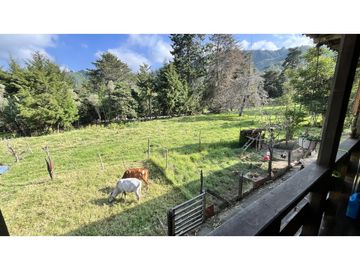 VENTA DE CASA CAMPESTRE EN SALENTO, QUINDIO, COLOMBIA
