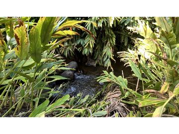VENTA DE CASA CAMPESTRE EN SALENTO, QUINDIO, COLOMBIA