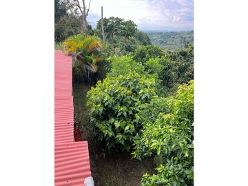 Se Vende Finca abordo de carretera en Ulloa Valle