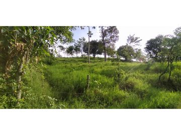 SE VENDEN LOTES EN ARABIA AREAS DESDE 1100 M2 HASTA 8798 M2
