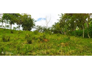 SE VENDEN LOTES EN ARABIA AREAS DESDE 1100 M2 HASTA 8798 M2