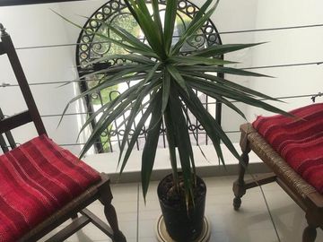 Excelente Casa en COMPLEJO VILLA NUEVA - Santa Clara