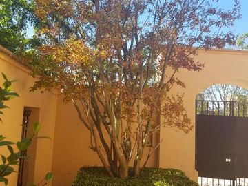 CASA en  venta  en COMPLEJO NORDELTA - LA ISLA