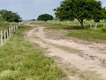 RANCHO SOTO LA MARINA