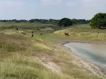 RANCHO SOTO LA MARINA