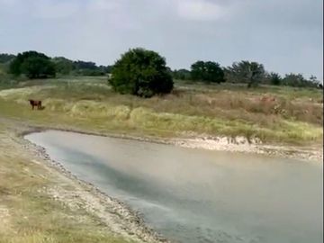 RANCHO SOTO LA MARINA