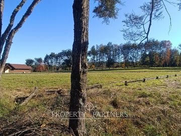 Terreno con vista panorámica y acceso al lago Panguipulli
