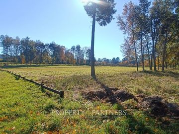 Terreno con vista panorámica y acceso al lago Panguipulli