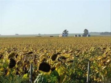 Terreno en Alquiler en Coronel Hilario Lagos, Chapaleufu, La Pampa, Argentina