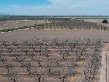 RAMCHO CON NOGALES EN VENTA EN SAN PEDRO DE LAS COLONIAS, COAHUILA