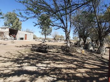 RAMCHO CON NOGALES EN VENTA EN SAN PEDRO DE LAS COLONIAS, COAHUILA