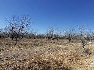 RAMCHO CON NOGALES EN VENTA EN SAN PEDRO DE LAS COLONIAS, COAHUILA