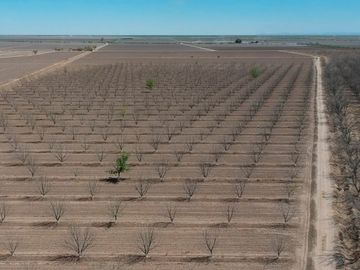 RAMCHO CON NOGALES EN VENTA EN SAN PEDRO DE LAS COLONIAS, COAHUILA