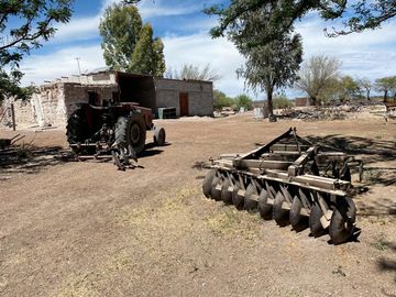 RAMCHO CON NOGALES EN VENTA EN SAN PEDRO DE LAS COLONIAS, COAHUILA