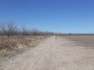 RAMCHO CON NOGALES EN VENTA EN SAN PEDRO DE LAS COLONIAS, COAHUILA
