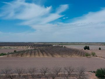 RAMCHO CON NOGALES EN VENTA EN SAN PEDRO DE LAS COLONIAS, COAHUILA