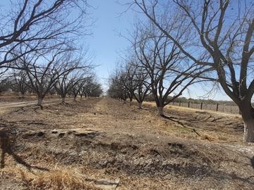 RAMCHO CON NOGALES EN VENTA EN SAN PEDRO DE LAS COLONIAS, COAHUILA
