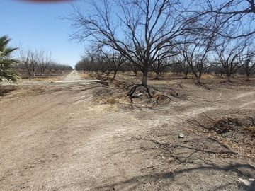 RAMCHO CON NOGALES EN VENTA EN SAN PEDRO DE LAS COLONIAS, COAHUILA