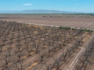RAMCHO CON NOGALES EN VENTA EN SAN PEDRO DE LAS COLONIAS, COAHUILA