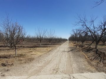 RAMCHO CON NOGALES EN VENTA EN SAN PEDRO DE LAS COLONIAS, COAHUILA