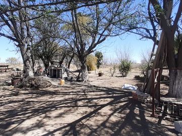 RAMCHO CON NOGALES EN VENTA EN SAN PEDRO DE LAS COLONIAS, COAHUILA