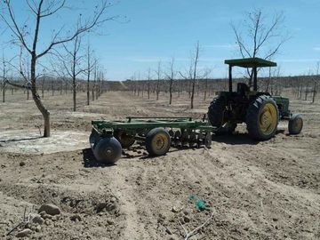 VENTA DE TERRENO CON NOGALES EN PARRAS DE LA FUENTE, COAH.