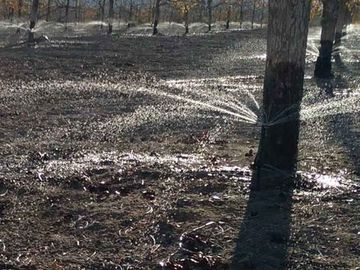 VENTA DE TERRENO CON NOGALES EN PARRAS DE LA FUENTE, COAH.