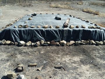 VENTA DE TERRENO CON NOGALES EN PARRAS DE LA FUENTE, COAH.