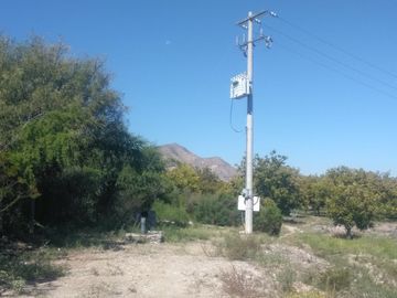 SE VENDE TERRENO CON NOGALES EN PARRAS DE LA FUENTE, COAHUILA