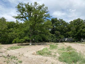 SE VENDE TERRENO CON NOGALES EN PARRAS DE LA FUENTE, COAHUILA