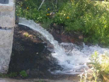 SE VENDE TERRENO CON NOGALES EN PARRAS DE LA FUENTE, COAHUILA