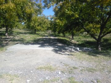 SE VENDE TERRENO CON NOGALES EN PARRAS DE LA FUENTE, COAHUILA