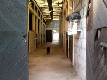 Acopilco venta de Rancho/ terreno posible uso de suelo para escuela