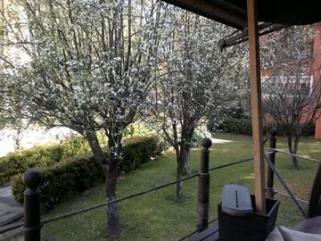 Acopilco venta de Rancho/ terreno posible uso de suelo para escuela
