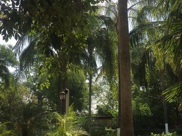 QUINTA EN VENTA EN ALLENDE, NUEVO LEÓN