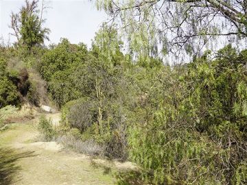 Parcela en Venta en La Isla - La Vega, Cuesta La Dormida - Olmué