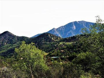 Parcela en Venta en La Isla - La Vega, Cuesta La Dormida - Olmué