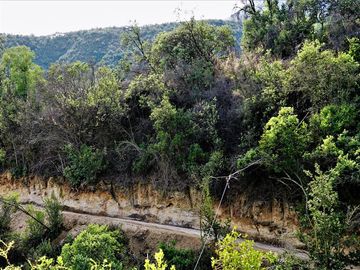 Parcela en Venta en La Isla - La Vega, Cuesta La Dormida - Olmué