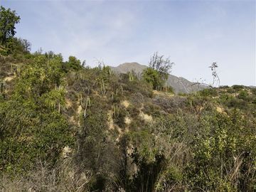 Parcela en Venta en La Isla - La Vega, Cuesta La Dormida - Olmué