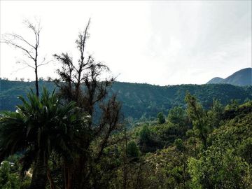 Parcela en Venta en La Isla - La Vega, Cuesta La Dormida - Olmué